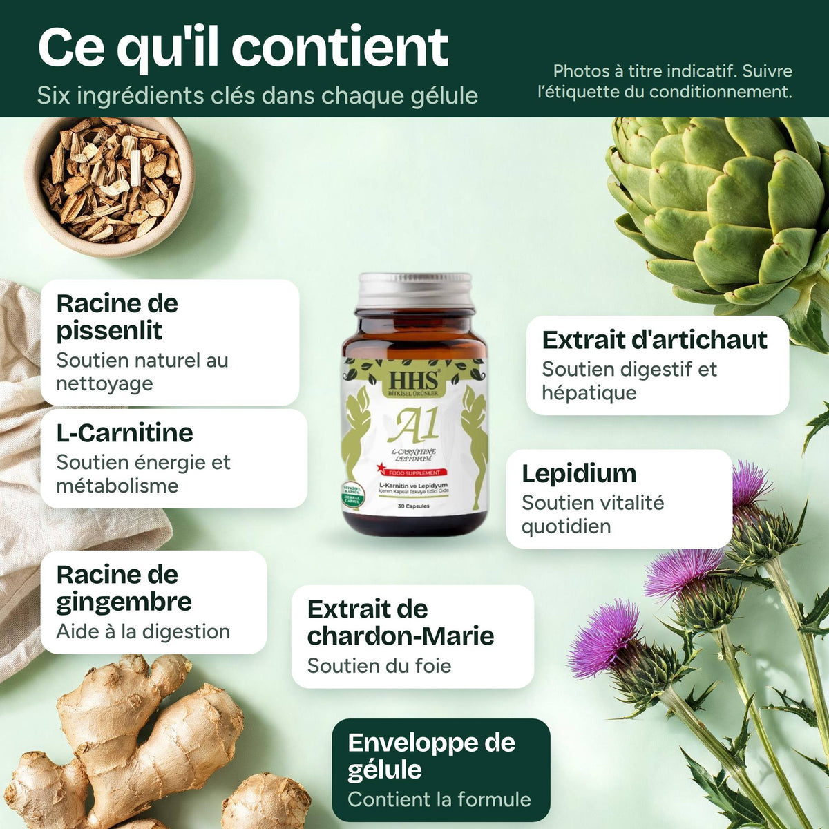 Ingrédients de HHS A1 L-Carnitine Lepidium Capsule : L-Carnitine, Lepidium, racine de pissenlit, extrait d’artichaut, racine de gingembre, extrait de chardon-Marie, enveloppe de la gélule