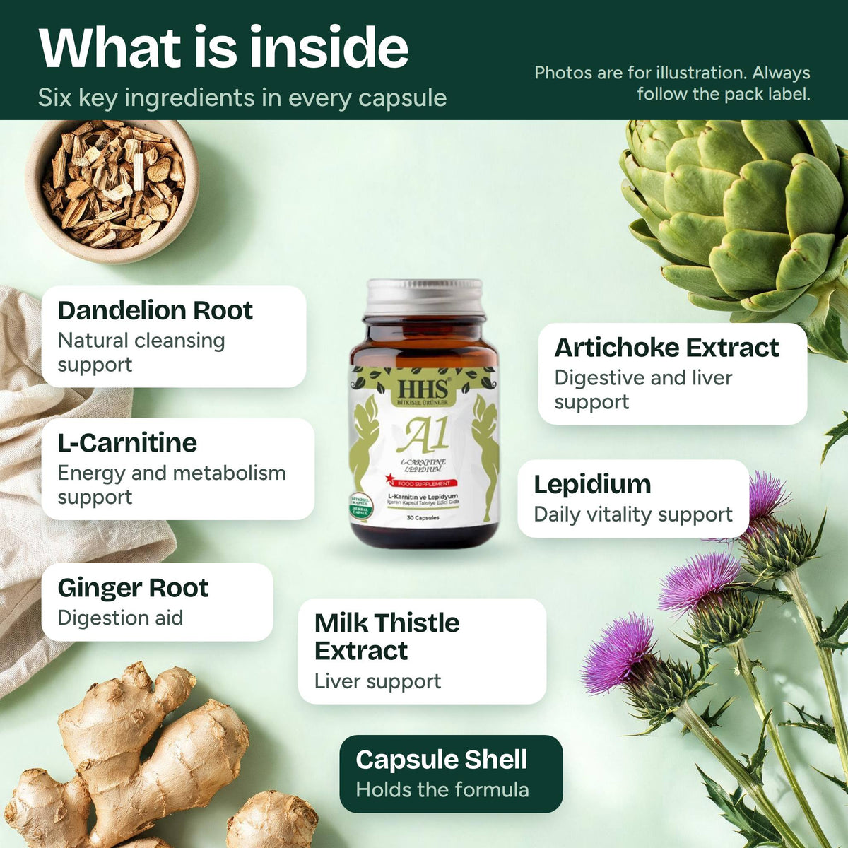 HHS A1 L‑Carnitin Lepidium Kapsel Inhaltsstoffe: L‑Carnitin, Lepidium, Löwenzahnwurzel, Artischockenextrakt, Ingwerwurzel, Mariendistelextrakt, Kapselhülle